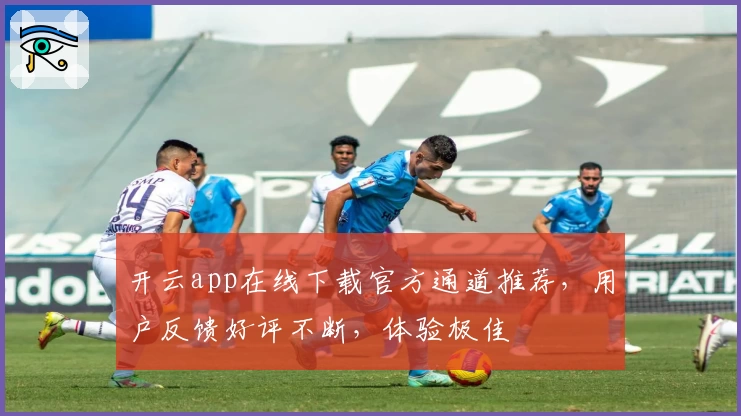 开云app在线下载官方通道推荐，用户反馈好评不断，体验极佳