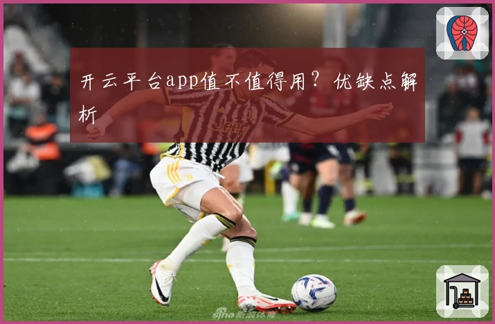 开云平台app值不值得用？优缺点解析