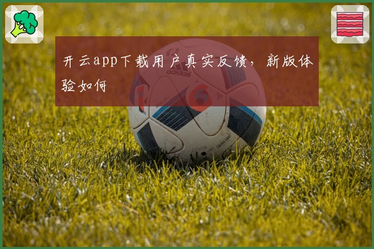 开云app下载用户真实反馈，新版体验如何