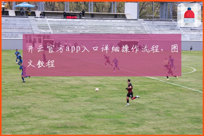 开云官方app入口详细操作流程，图文教程