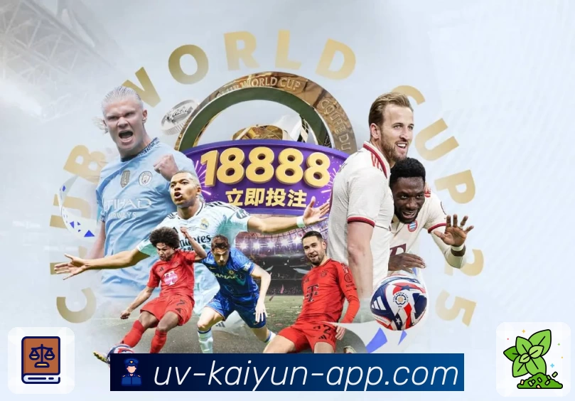 开云 团队与平台生态